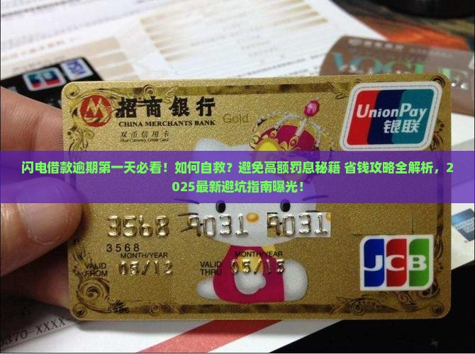 闪电借款逾期第一天应该怎么处理