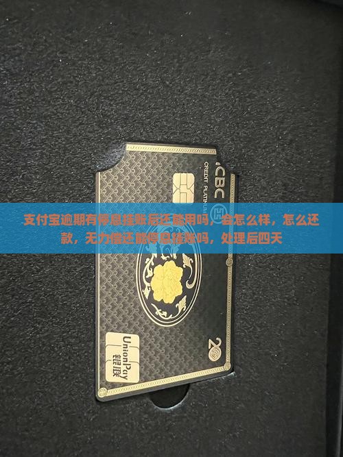 支付宝逾期有停息挂账后