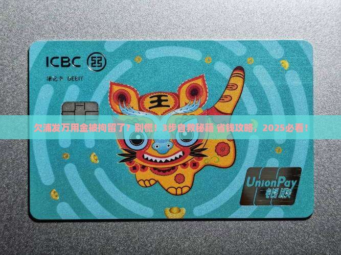 欠浦发万用金被拘留怎么办