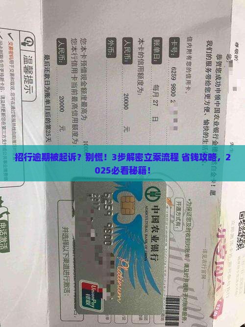 招行逾期立案起诉流程及解决方法
