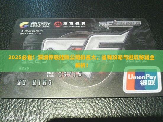 深圳停息挂账公司排名