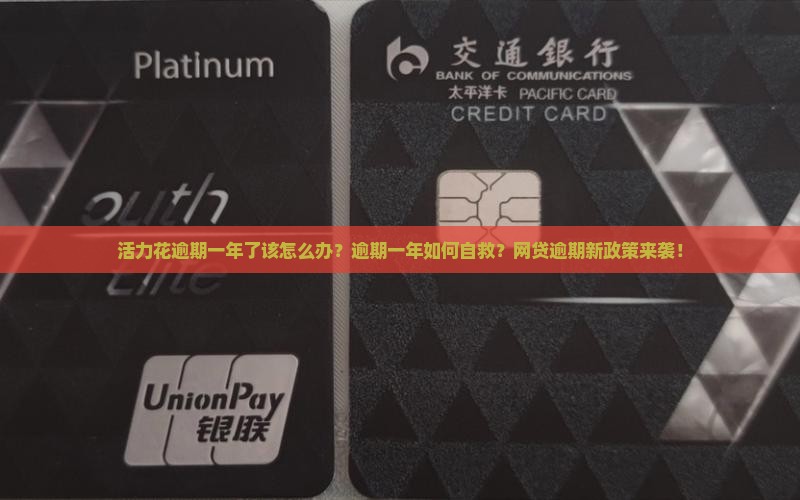 活力花逾期一年了该怎么办