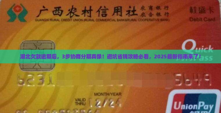湖北欠款逾期协商分期的具体流程及注意事项