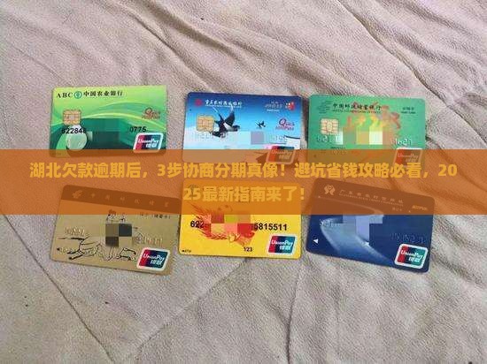 湖北欠款逾期协商分期的具体流程及注意事项