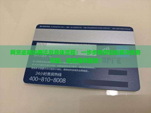 网贷逾期协商还款具体流程