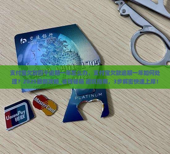 支付宝欠款四千逾期一年怎么办