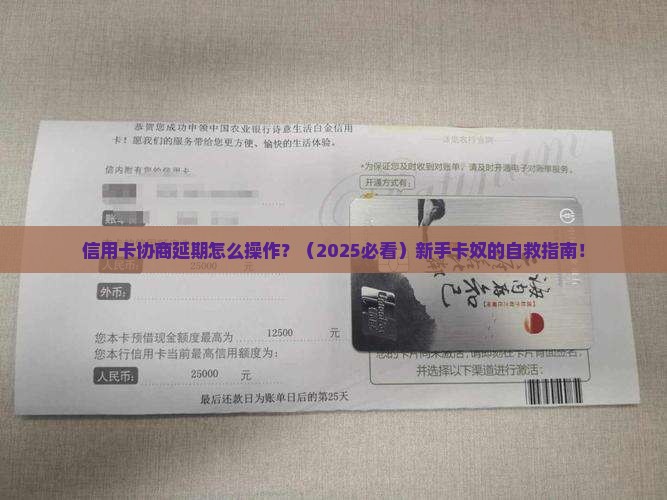 飞行卡协商延期怎么办