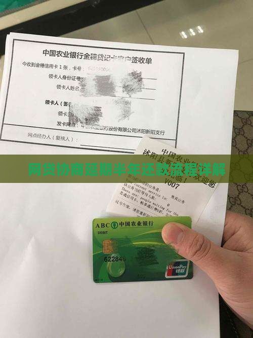 网贷协商延期半年还款流程详解