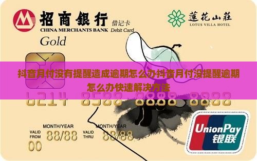 抖音月付没有提醒造成逾期怎么办
