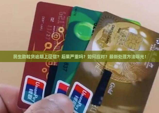 民生助粒贷逾期上征信的后果及处理方法
