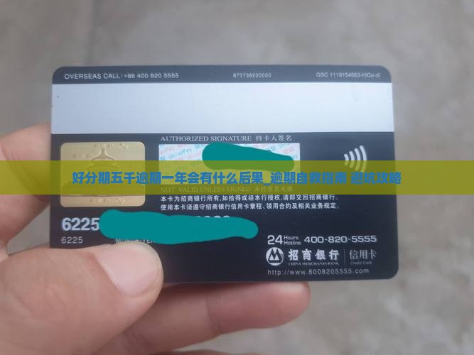好分期五千逾期一年会有什么后果
