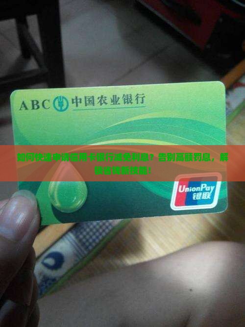 信用卡银行申请减免利息的具体流程是什么