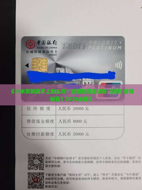小米贷款无力偿还后怎么处理