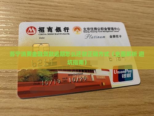 苏宁消费金融贷款逾期怎么还款正确方式