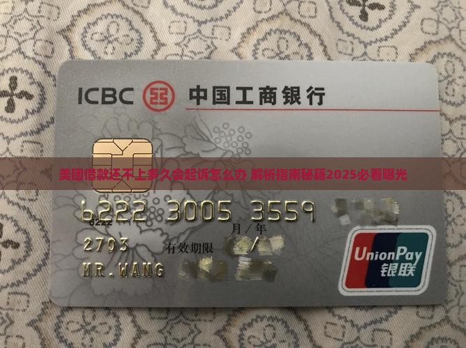 美团借款还不上多久会起诉怎么办