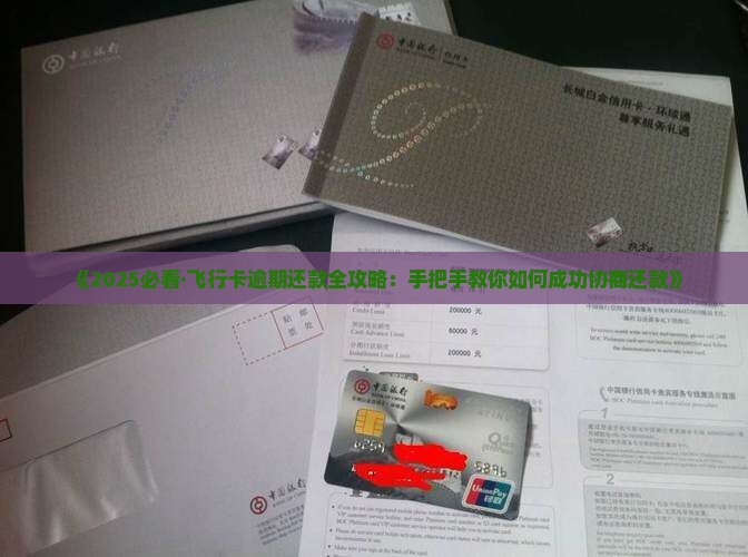 怎么和飞行卡协商还款