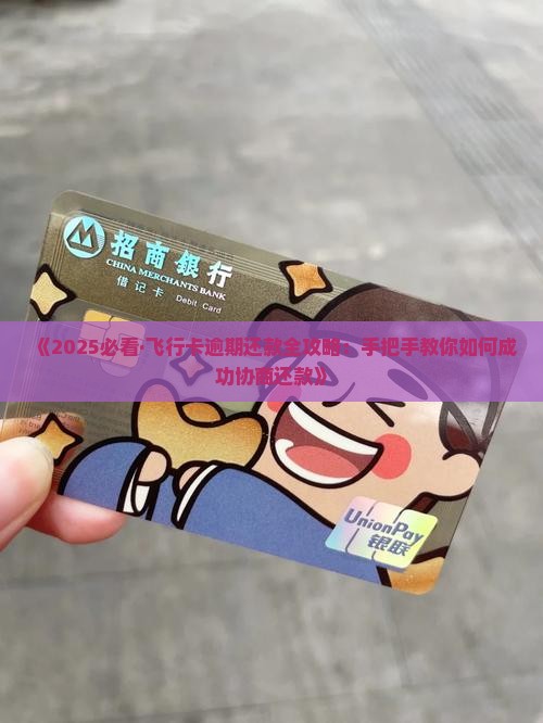 怎么和飞行卡协商还款