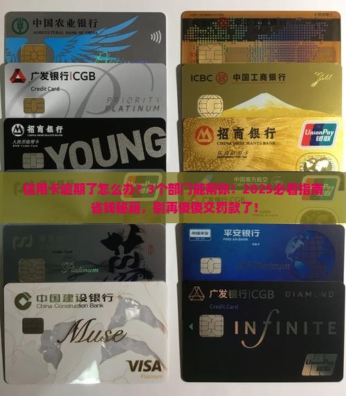 大额信用卡逾期怎么办应该找哪些部门解决