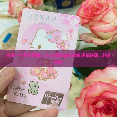白条一个月还两期的钱如何处理