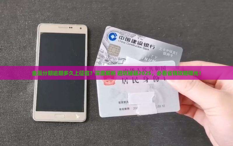 金瀛分期逾期多久上征信怎样查询