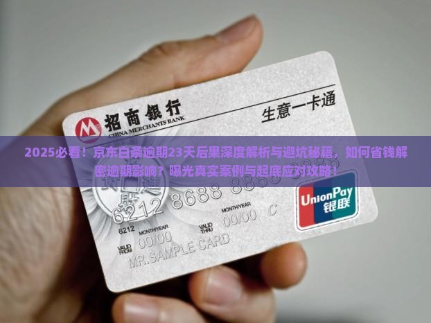 京东白条逾期23天的后果