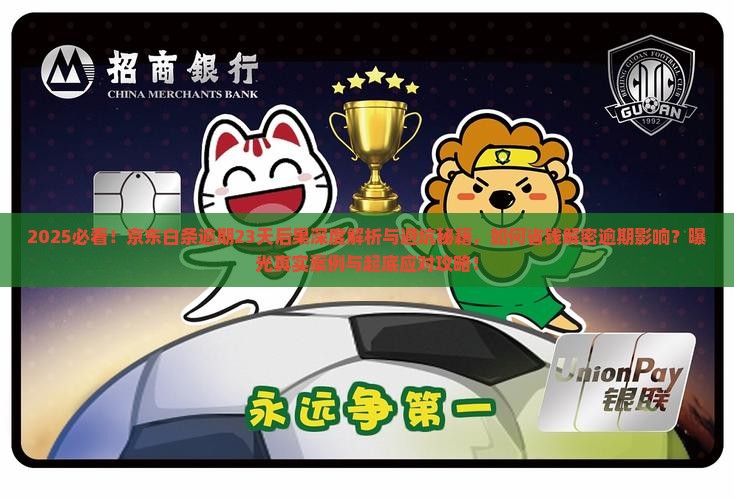 京东白条逾期23天的后果
