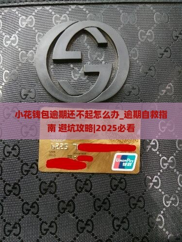 小花钱包逾期还不起怎么办