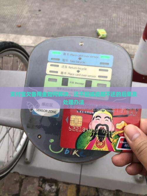 支付宝欠备用金如何解决