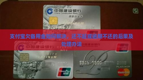 支付宝欠备用金如何解决