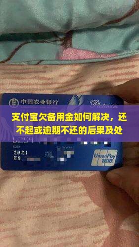 支付宝欠备用金如何解决