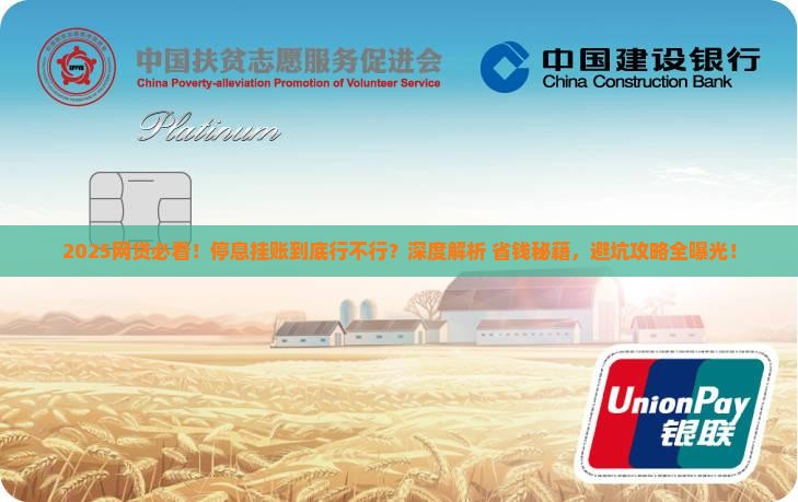 网贷能办理停息挂账嘛怎么办理及相关解决方法