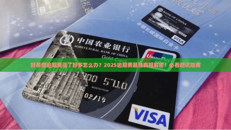 好易借逾期费涨了好多如何处理