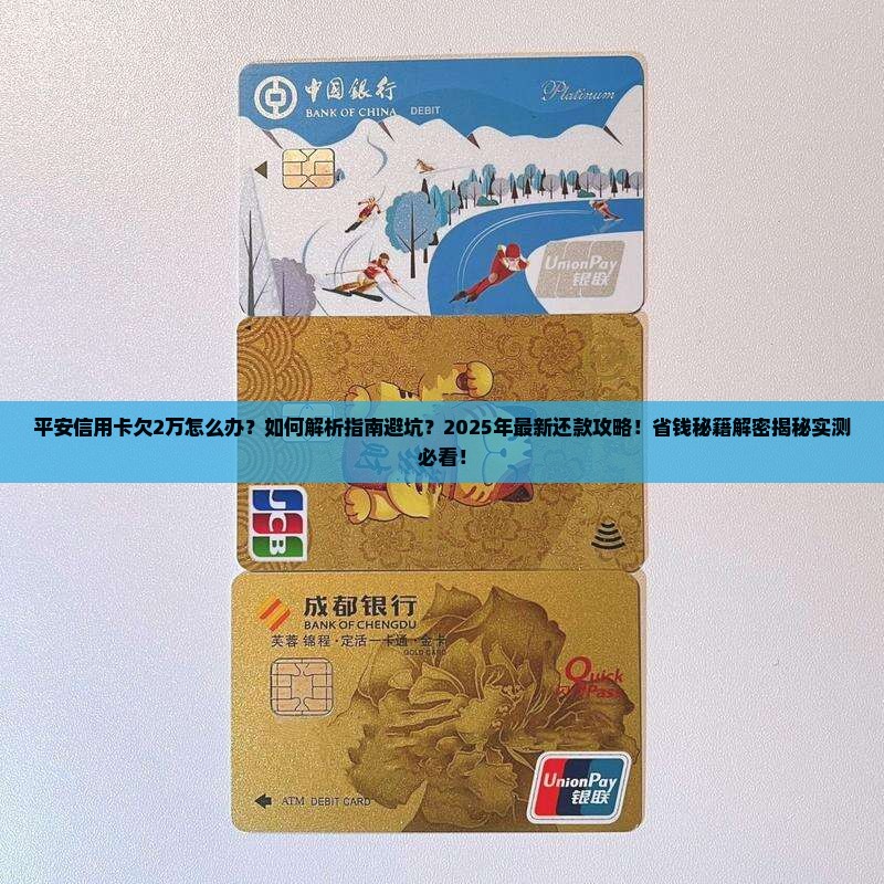 平安信用卡欠2万怎么办