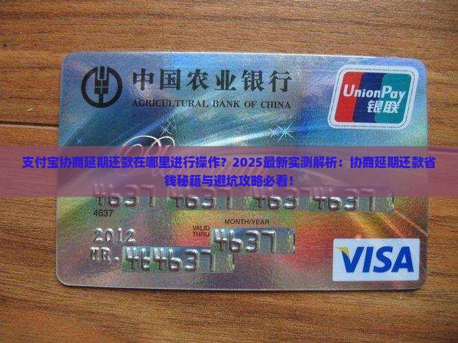 支付宝协商延期还款在哪里进行操作