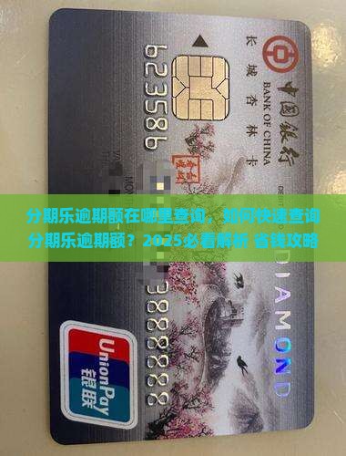 分期乐逾期额在哪里查询