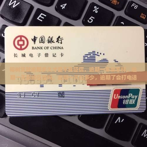榕树贷款逾期多久才是不良
