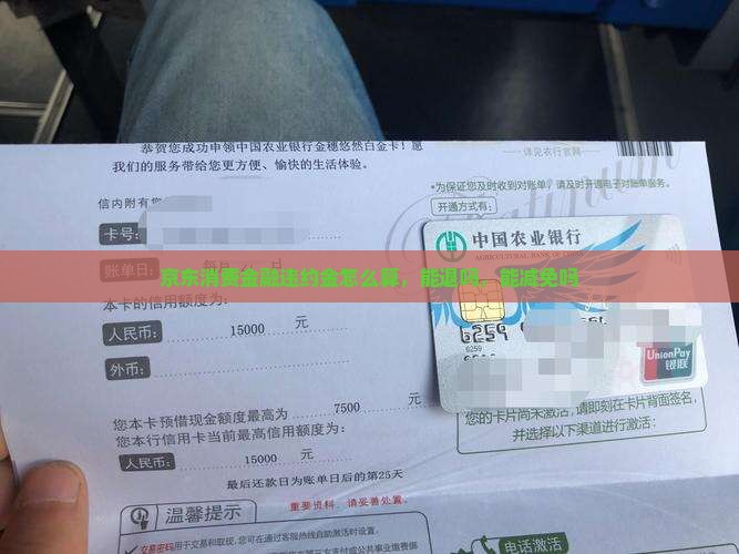 京东消费金融违约金