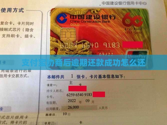 支付宝协商后还款怎么还