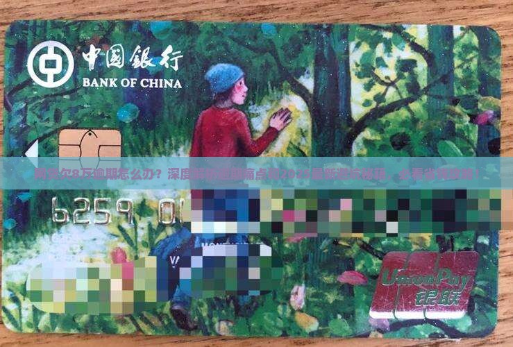 网贷欠8万逾期如何处理