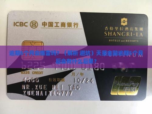 天星金融逾期5个月后会有什么后果