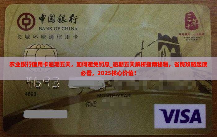 农业银行信用卡逾期五天