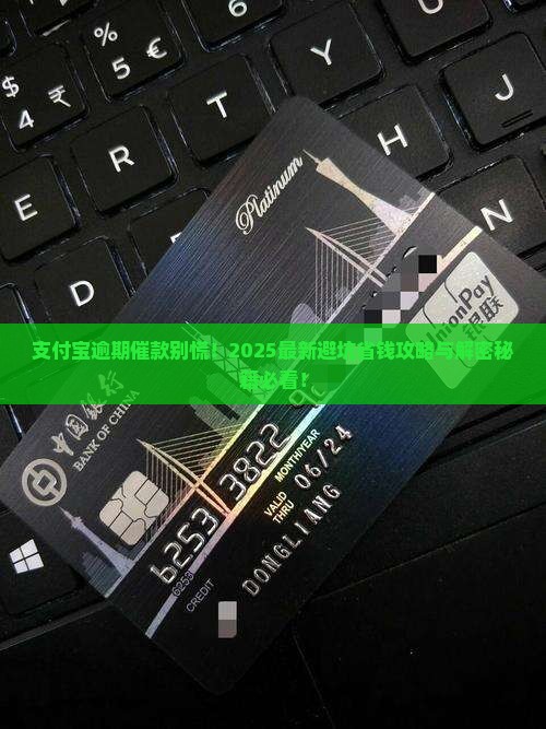 支付宝逾期催款怎么解决