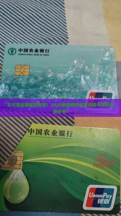支付宝逾期催款怎么解决