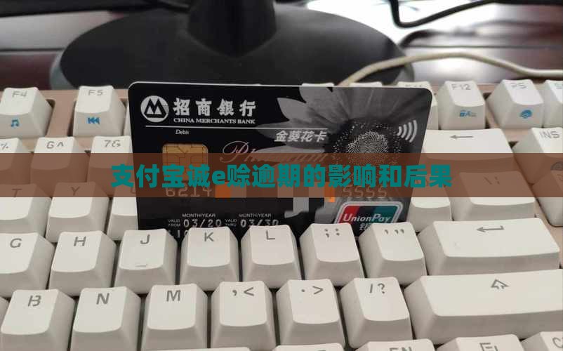 支付宝诚e赊逾期会有什么影响