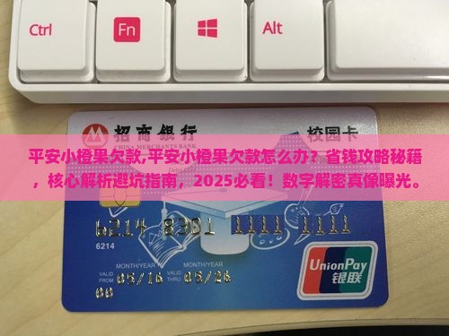 平安小橙果欠款