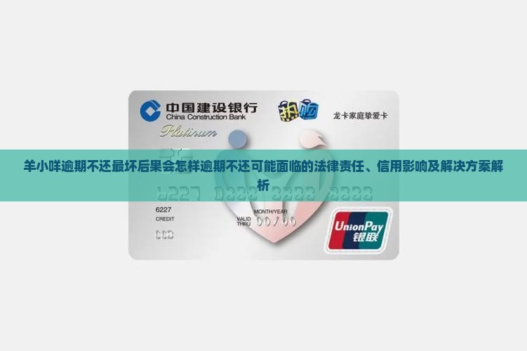 羊小咩逾期不还最坏后果会怎样