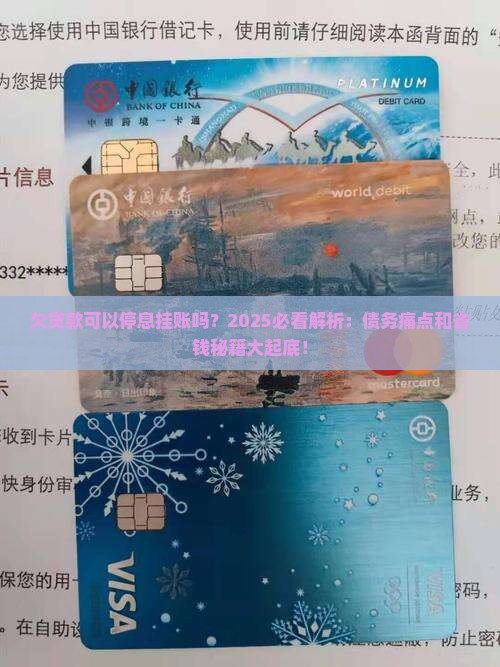 欠贷款可以停息挂账吗