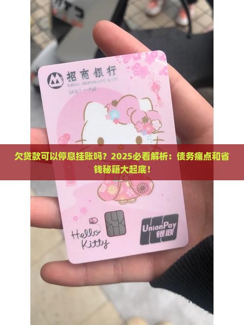 欠贷款可以停息挂账吗