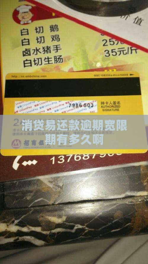 消贷易还款逾期宽限期有多久