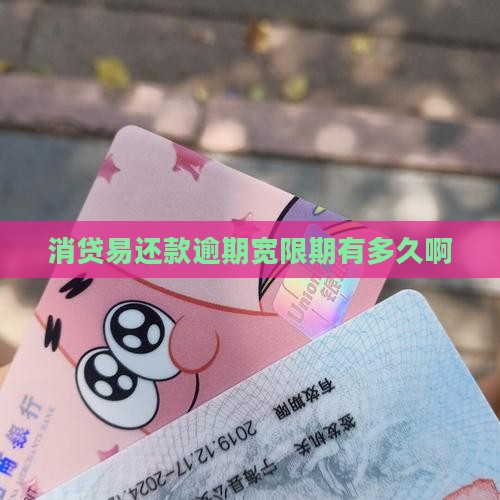 消贷易还款逾期宽限期有多久